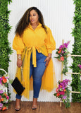 YOUR FAVORITE SHEER SHIRT TOP PLUS