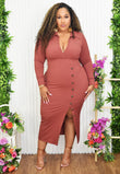 SEE THE VISION MIDI DRESS PLUS