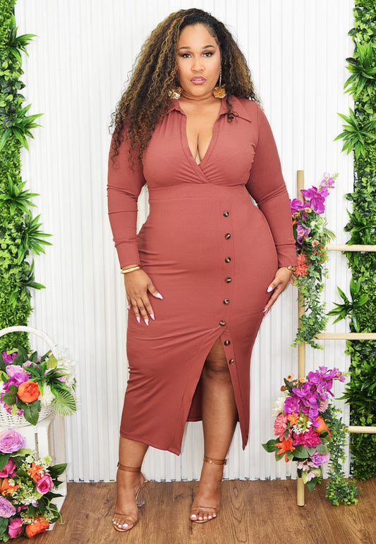SEE THE VISION MIDI DRESS PLUS