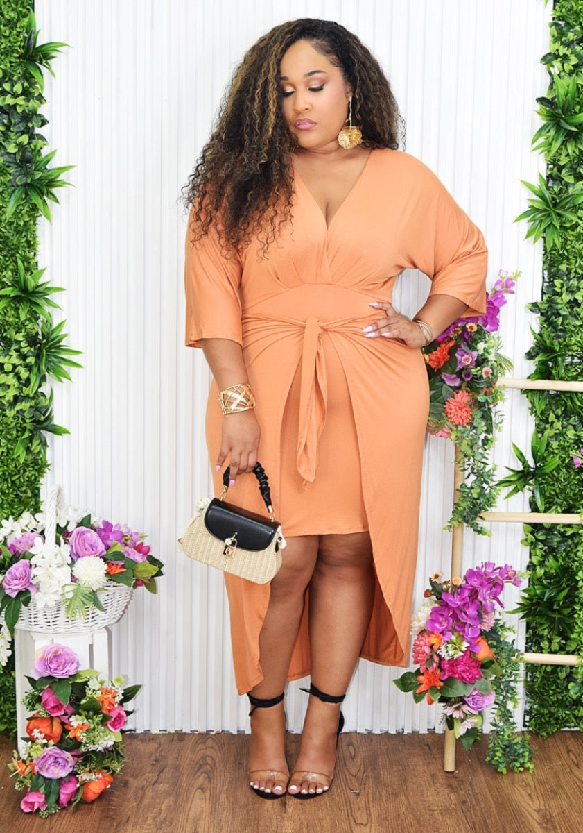 ALL YOU NEED WRAP DRESS PLUS