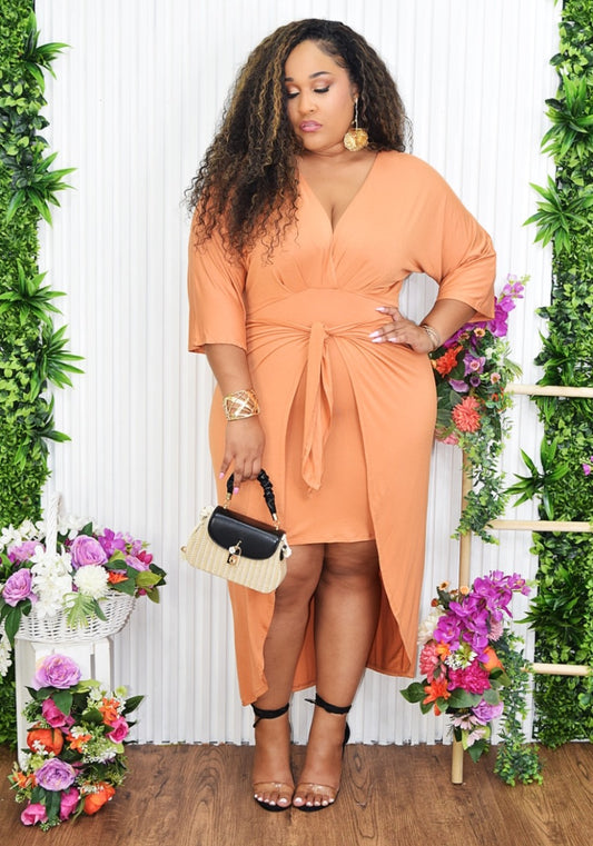 ALL YOU NEED WRAP DRESS PLUS
