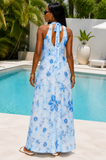 BLUE LAGOON FLORAL MESH MAXI DRESS