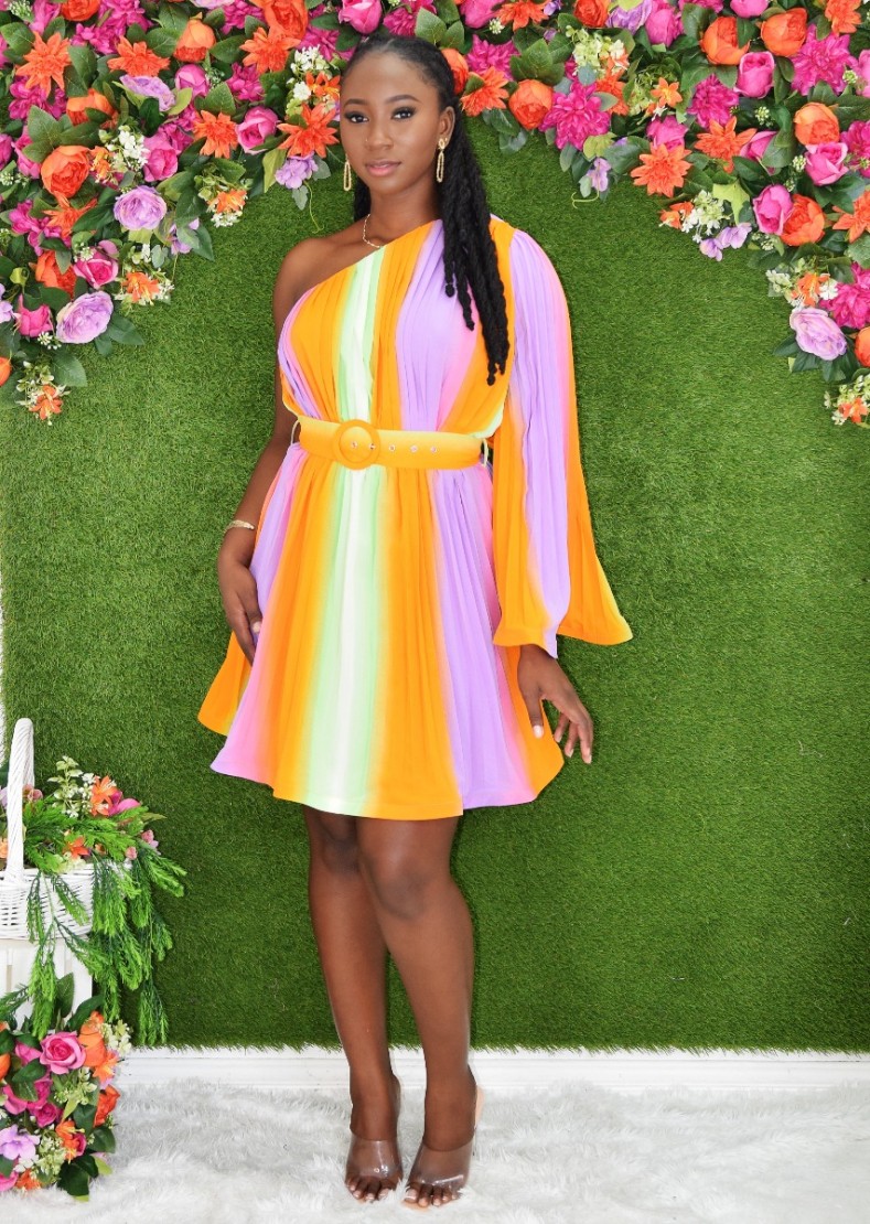 ABOVE AVERAGE PLEATED DRESS